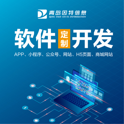 青岛软件定制开发网站实力怎么样