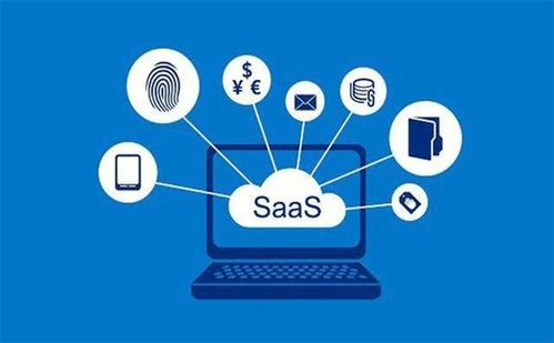 saas软件定制化服务已成为企业发展刚需