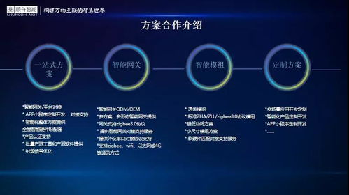 顺舟智能王志磊 协力构建互联互通的数字空间生态